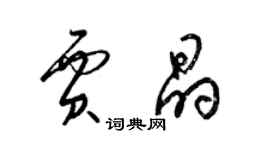 梁錦英賈晶草書個性簽名怎么寫