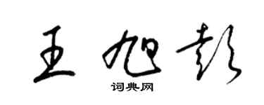 梁錦英王旭彭草書個性簽名怎么寫