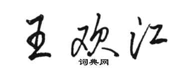 駱恆光王歡江行書個性簽名怎么寫
