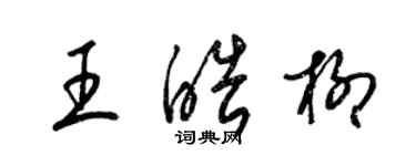 梁錦英王皓柳草書個性簽名怎么寫