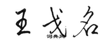 駱恆光王戈名行書個性簽名怎么寫