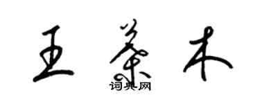 梁錦英王葉木草書個性簽名怎么寫