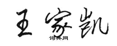 駱恆光王家凱行書個性簽名怎么寫