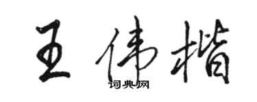 駱恆光王偉楷行書個性簽名怎么寫