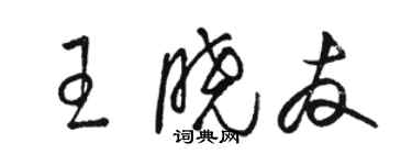 駱恆光王曉友草書個性簽名怎么寫