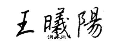 王正良王曦陽行書個性簽名怎么寫