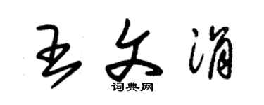 朱錫榮王文涓草書個性簽名怎么寫