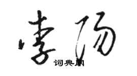 駱恆光李陽草書個性簽名怎么寫