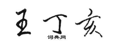 駱恆光王丁亥行書個性簽名怎么寫