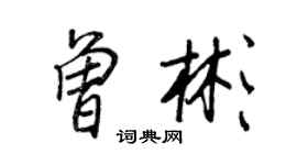 王正良曾彬行書個性簽名怎么寫
