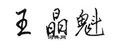 駱恆光王晶魁行書個性簽名怎么寫