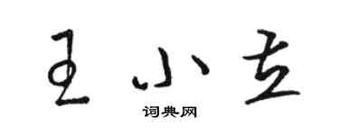 駱恆光王小立草書個性簽名怎么寫