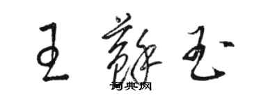 駱恆光王蘇玉草書個性簽名怎么寫