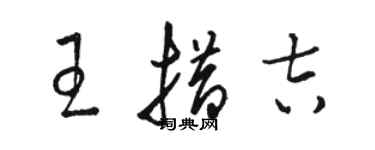 駱恆光王措吉草書個性簽名怎么寫