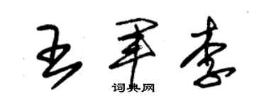 朱錫榮王軍李草書個性簽名怎么寫