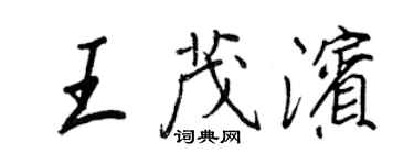 王正良王茂濱行書個性簽名怎么寫