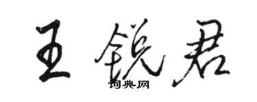 駱恆光王銳君行書個性簽名怎么寫