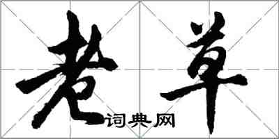 胡問遂老草行書怎么寫