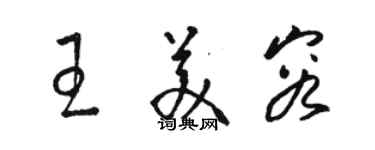 駱恆光王美容草書個性簽名怎么寫