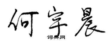 曾慶福何宇晨行書個性簽名怎么寫