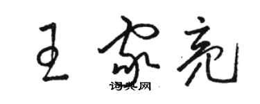 駱恆光王家亮草書個性簽名怎么寫