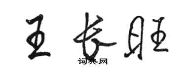 駱恆光王長旺行書個性簽名怎么寫