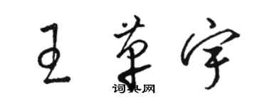 駱恆光王革宇草書個性簽名怎么寫