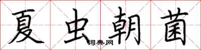 荊霄鵬夏蟲朝菌楷書怎么寫