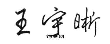 駱恆光王宇晰行書個性簽名怎么寫