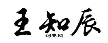 胡問遂王知辰行書個性簽名怎么寫