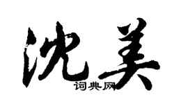 胡問遂沈美行書個性簽名怎么寫