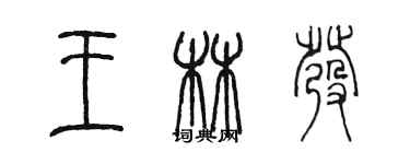 陳墨王林發篆書個性簽名怎么寫