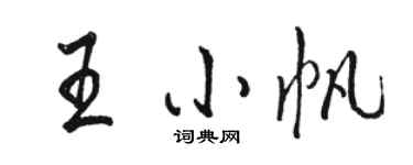 駱恆光王小帆行書個性簽名怎么寫