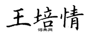 丁謙王培情楷書個性簽名怎么寫