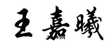 胡問遂王嘉曦行書個性簽名怎么寫