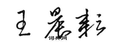 駱恆光王晨耘草書個性簽名怎么寫