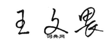 駱恆光王文畏草書個性簽名怎么寫