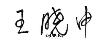 駱恆光王曉申草書個性簽名怎么寫