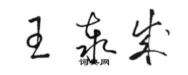 駱恆光王泰成草書個性簽名怎么寫