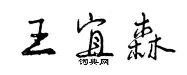 曾慶福王宜森行書個性簽名怎么寫