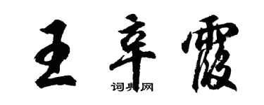胡問遂王辛霞行書個性簽名怎么寫