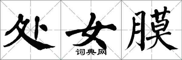 翁闓運處女膜楷書怎么寫