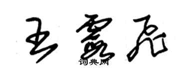 朱錫榮王霞飛草書個性簽名怎么寫