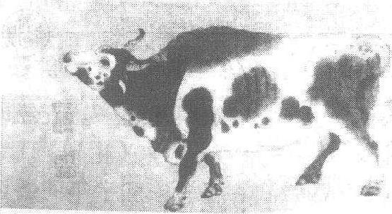 五牛圖_五牛圖介紹_歷史知識