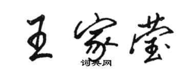 駱恆光王家瑩行書個性簽名怎么寫