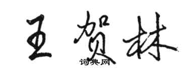 駱恆光王賀林行書個性簽名怎么寫