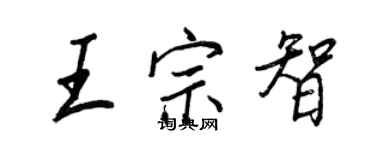 王正良王宗智行書個性簽名怎么寫