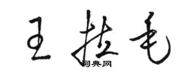 駱恆光王拉毛草書個性簽名怎么寫