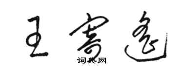 駱恆光王寄遙草書個性簽名怎么寫