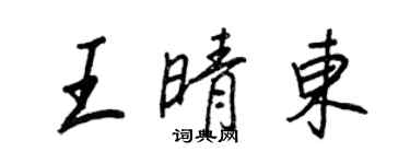 王正良王晴東行書個性簽名怎么寫